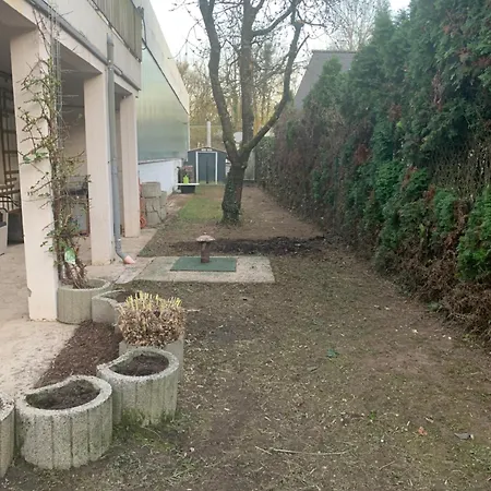 With Friends 1 * ترير