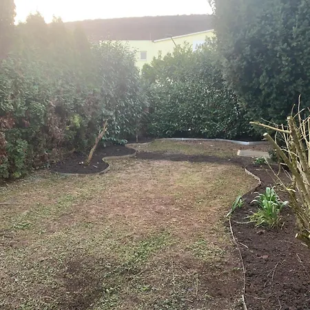 شقة With Friends 1