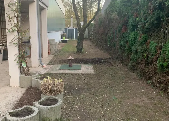 With Friends 1 * ترير